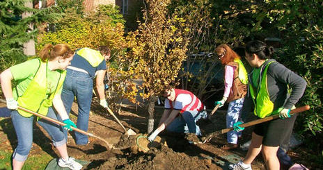 Tree planting with Casey Trees 2 Image 2