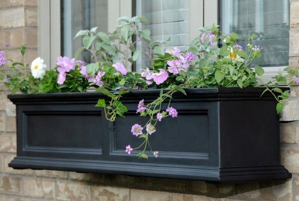 Planting in the Old Wooden Drawers
